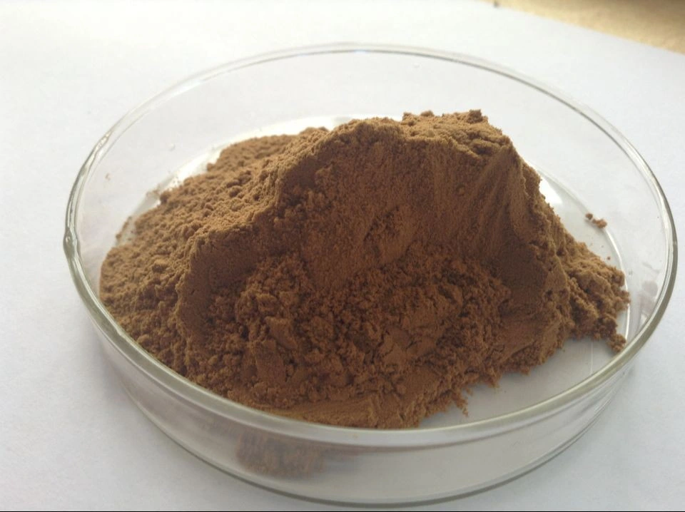 Cosmetic Ingredient Plant Extract Rhodiola Crenulata Powder Salidroside3% Rhodiola Rosea Extract